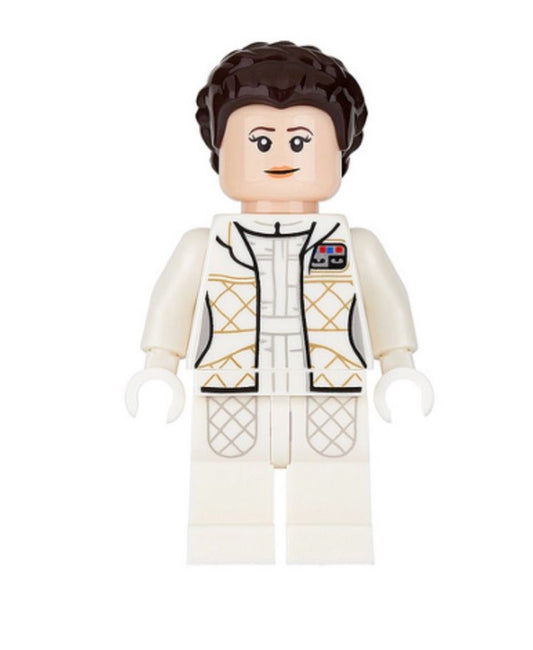 Minifig sw0878