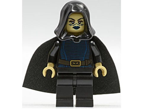 Minifig sw0269