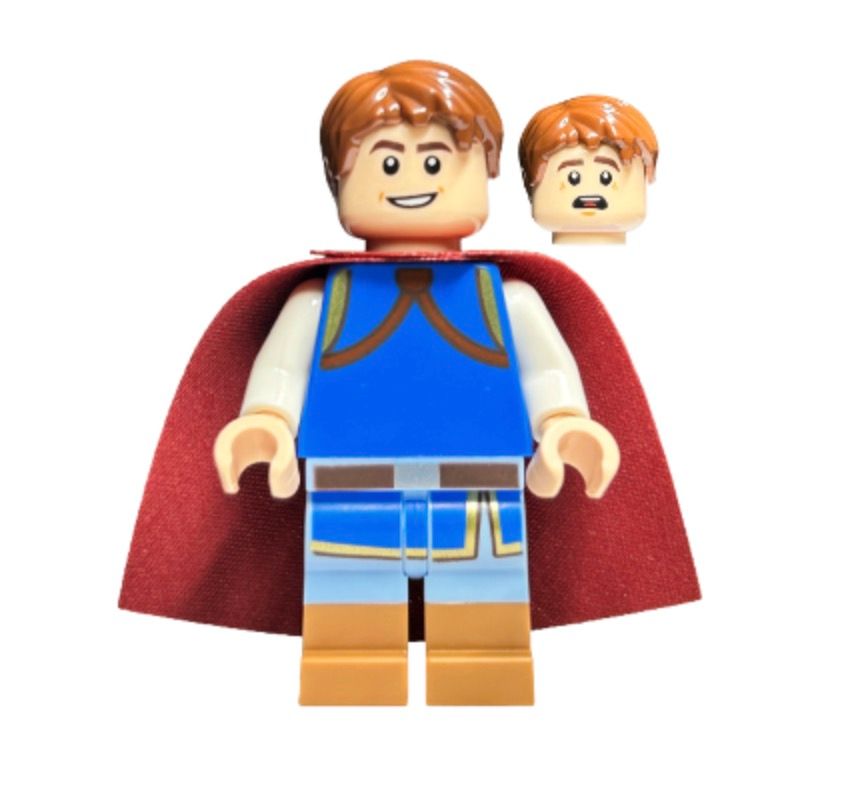 Minifig dis135