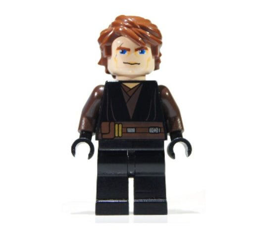 Minifig sw0317
